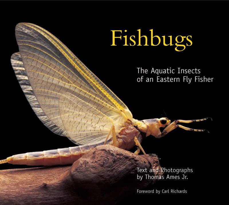 Fishbugs The Aquatic Insects of an Eastern Flyfisher [Hardcover]