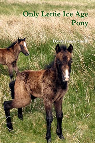 Only Lettie Ice Age Pony [Paperback]