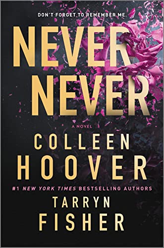 Never Never A twisty, angsty romance [Hardcover]