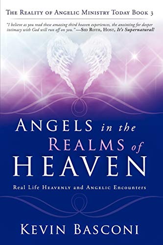 Angels In The Realms Of Heaven The Reality Of Angelic Ministry Today (dancing W [Paperback]