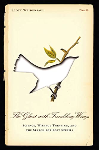 The Ghost with Trembling Wings Science, Wishful Thinking and the Search for Los [Paperback]