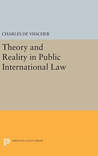 Theory and Reality in Public International Law [Hardcover]
