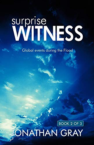 Surprise Witness Book 2/3 [Paperback]