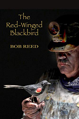 Red-Winged Blackbird  A Novel about the Bloodiest and Most Costly Labor Dispute [Paperback]