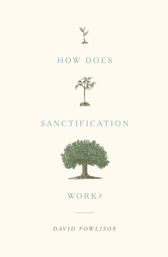 How Does Sanctification Work [Paperback]
