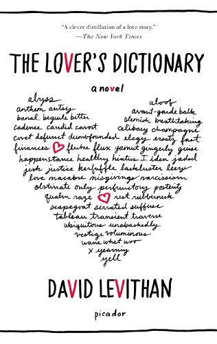 The Lover's Dictionary A Novel [Paperback]