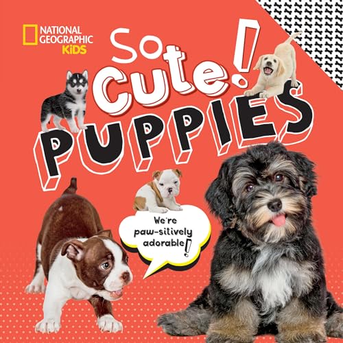 So Cute Puppies [Hardcover]