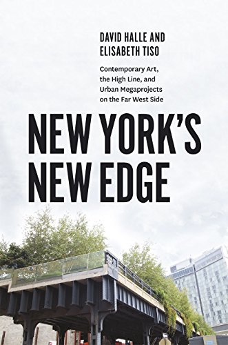 New York&39s New Edge Contemporary Art, the High Line, and Urban Megaprojects [Paperback]