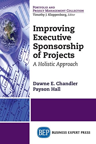 Improving Executive Sponsorship Of Projects A Holistic Approach [Paperback]