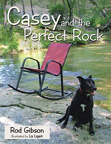 Casey And The Perfect Rock [Paperback]