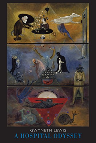 A Hospital Odyssey [Paperback]