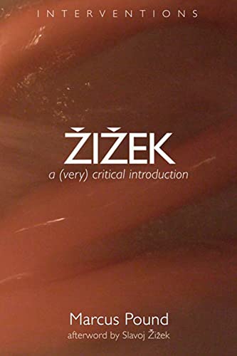 Zizek A (very) Critical Introduction (interventions) [Paperback]