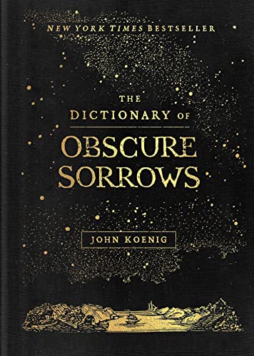 The Dictionary of Obscure Sorrows [Hardcover]