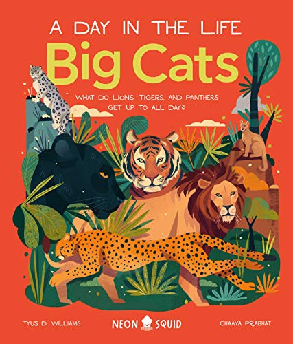 Big Cats (A Day in the Life) What Do Lions, Tigers, and Panthers Get up to All  [Hardcover]