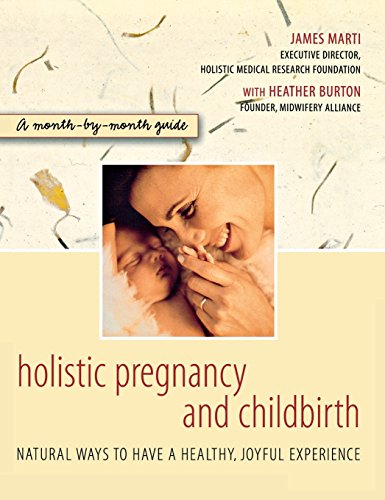 Holistic Pregnancy and Childbirth [Hardcover]