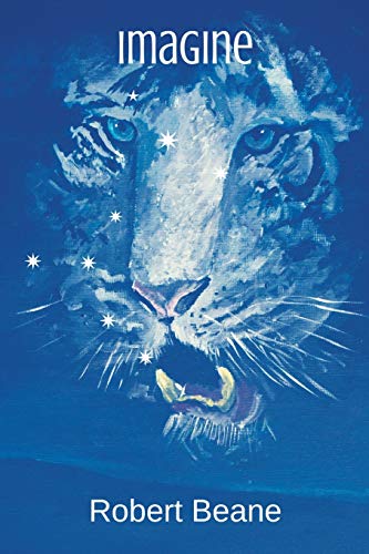 Imagine [Paperback]