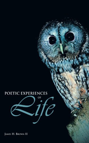 Poetic Experiences of Life [Paperback]