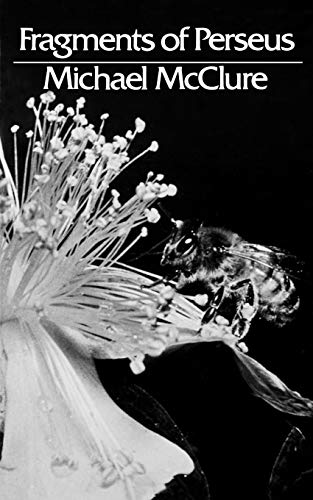 Fragments of Perseus Poetry [Paperback]