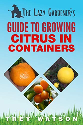 Lazy Gardener's Guide to Growing Citrus in Containers [Paperback]