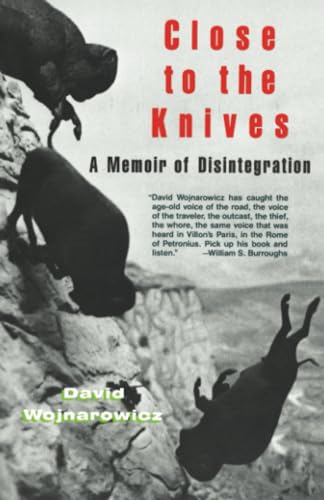 Close to the Knives A Memoir of Disintegration [Paperback]
