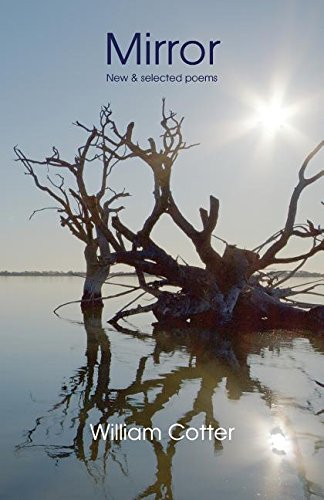 Mirror New & Selected Poems [Paperback]