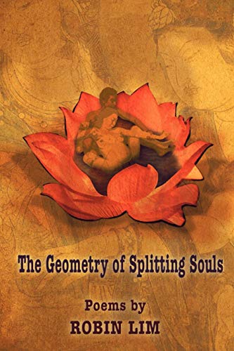 The Geometry Of Splitting Souls [Paperback]