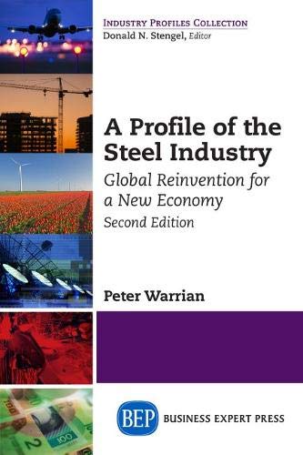 A Profile Of The Steel Industry Global Reinvention For A New Economy, Second Ed [Paperback]