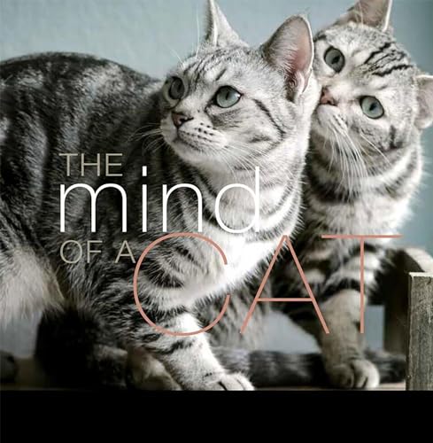 The Mind of a Cat [Hardcover]