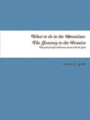 What to Do in the Meantime  The Journey to God's Promises [Paperback]