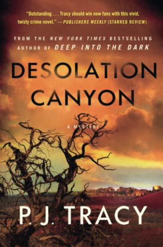 Desolation Canyon A Mystery [Paperback]
