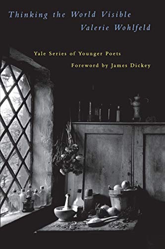 Thinking the World Visible [Paperback]