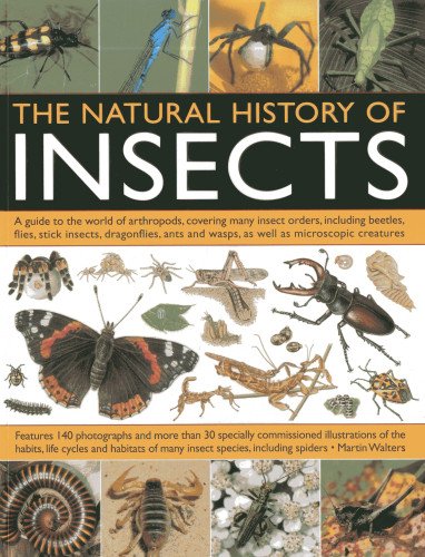 The Natural History Of Insects A Guide to the World of Arthropods, Covering Man [Paperback]