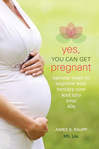 Yes, You Can Get Pregnant Natural Ways to Improve Your Fertility Now and into Y [Paperback]