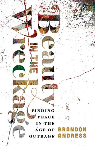 Beauty in the Wreckage  Finding Peace in the Age of Outrage [Paperback]