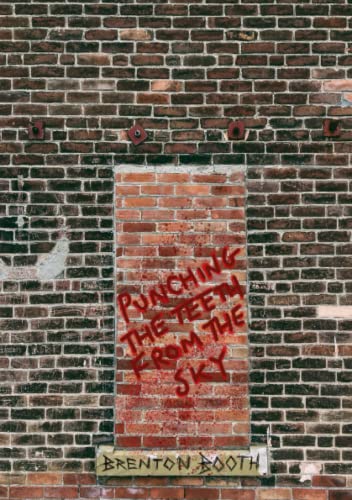 Punching The Teeth From The Sky [Paperback]