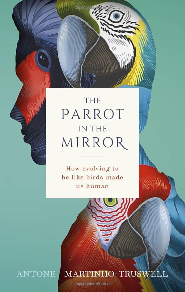 The Parrot in the Mirror How evolving to be like birds makes us human [Hardcover]