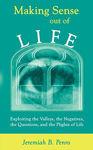 Making Sense Out Of Life Exploiting The Valleys, The Negatives, The Questions,  [Paperback]