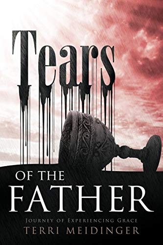 Tears Of The Father Journey Of Experiencing Grace [Paperback]