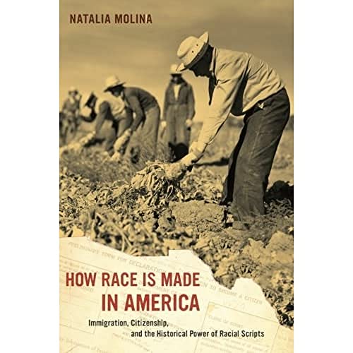 How Race Is Made in America Immigration, Citizenship, and the Historical Power  [Paperback]