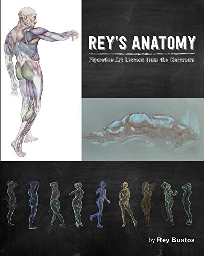 Rey's Anatomy Figurative Art Lessons From the Classroom [Paperback]