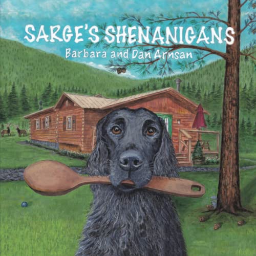 Sarge's Shenanigans [Paperback]