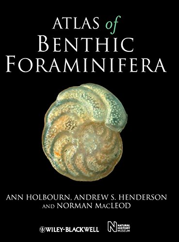 Atlas of Benthic Foraminifera [Hardcover]