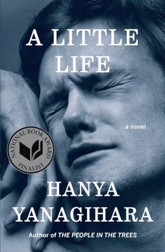 A Little Life A Novel [Hardcover]