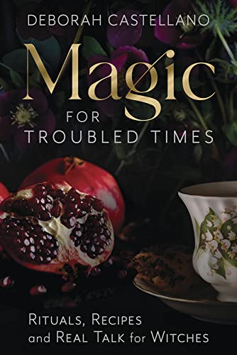Magic For Troubled Times                 [TRADE PAPER         ]