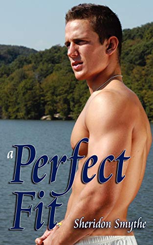 Perfect Fit [Paperback]