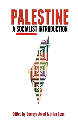 Palestine A Socialist Introduction [Hardcover]