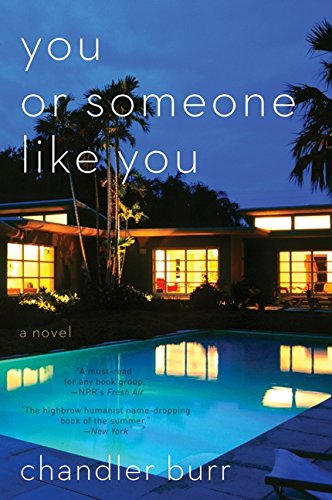 You or Someone Like You A Novel [Paperback]