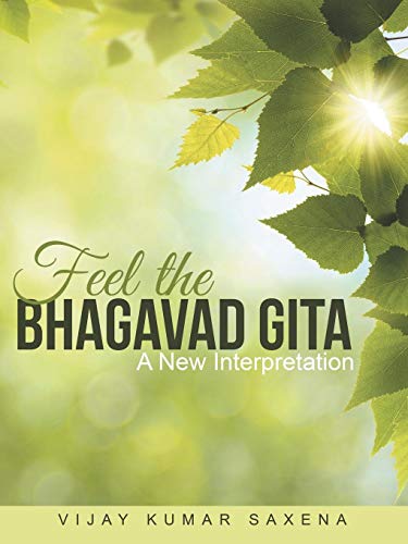 Feel The Bhagavad Gita A New Interpretation [Paperback]
