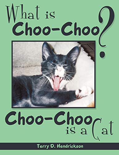 What Is Choo-Choo  Choo Choo Is A Cat [Paperback]