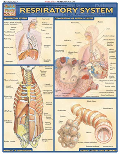 Respiratory System [Fold-out book or cha]